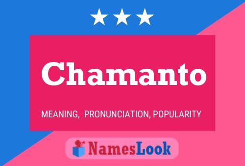 Chamanto Name Poster