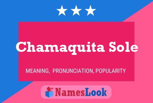 Chamaquita Sole Name Poster