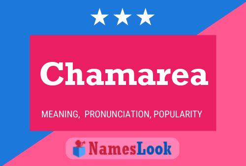 Chamarea Name Poster