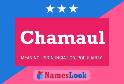 Chamaul Name Poster