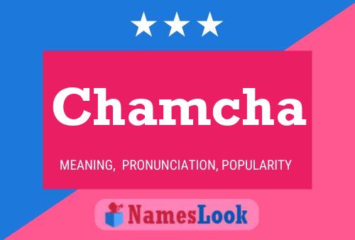 Chamcha Name Poster