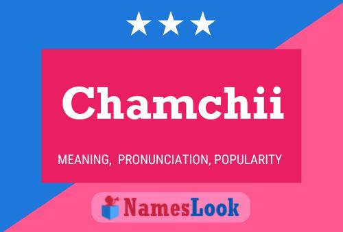 Chamchii Name Poster