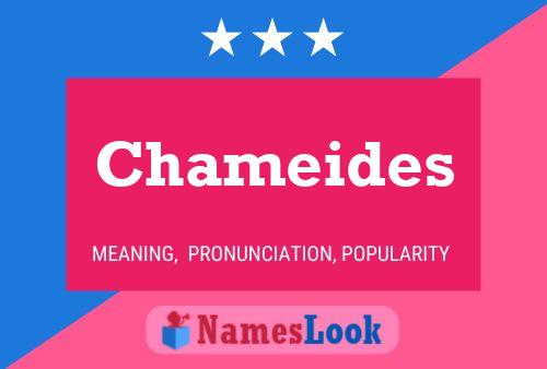 Chameides Name Poster