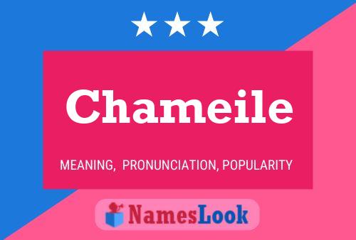 Chameile Name Poster