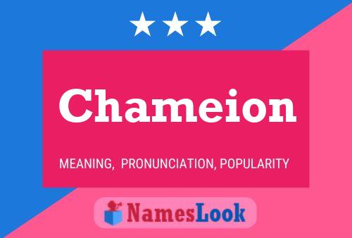 Chameion Name Poster