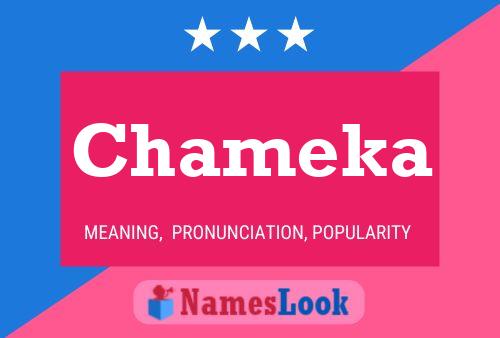 Chameka Name Poster