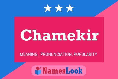 Chamekir Name Poster