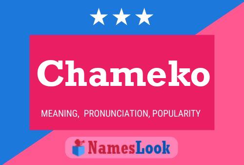 Chameko Name Poster