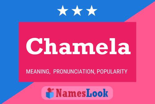 Chamela Name Poster