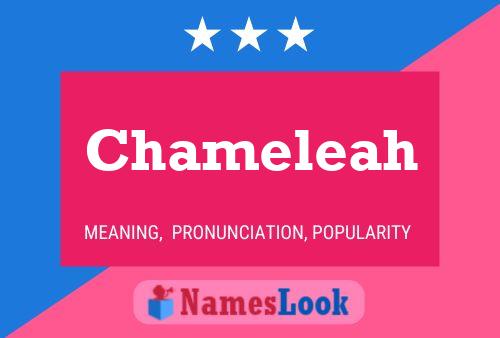 Chameleah Name Poster