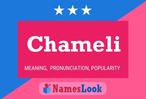 Chameli Name Poster