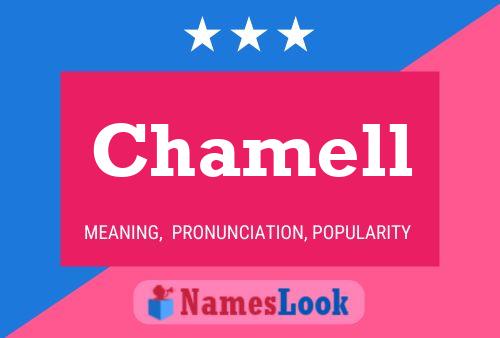 Chamell Name Poster