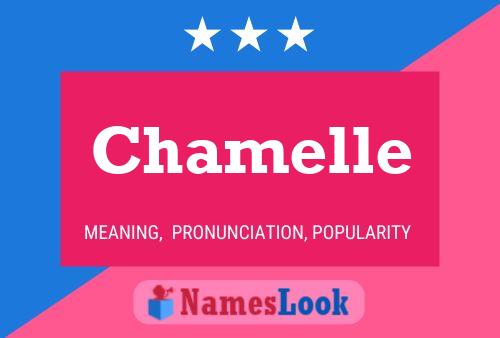 Chamelle Name Poster