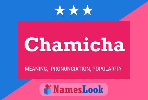 Chamicha Name Poster