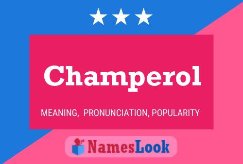 Champerol Name Poster