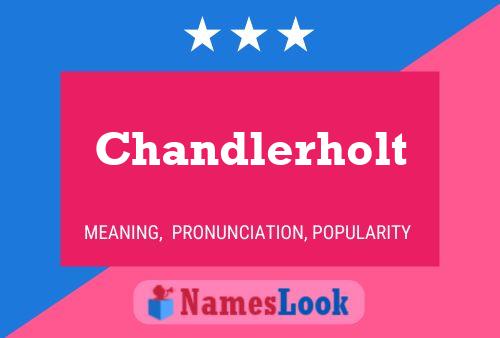 Chandlerholt Name Poster