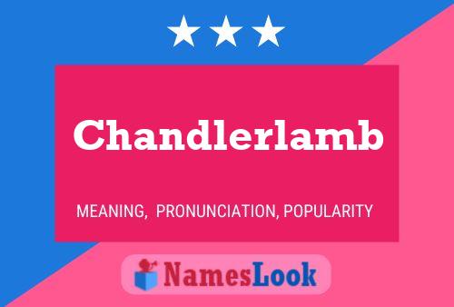 Chandlerlamb Name Poster