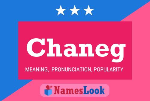 Chaneg Name Poster