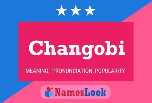 Changobi Name Poster