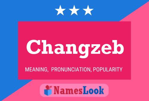 Changzeb Name Poster