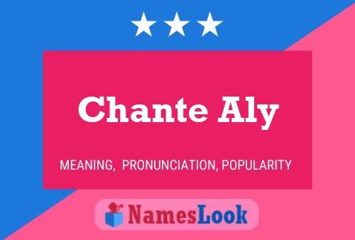 Chante Aly Name Poster