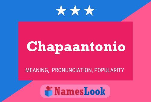 Chapaantonio Name Poster