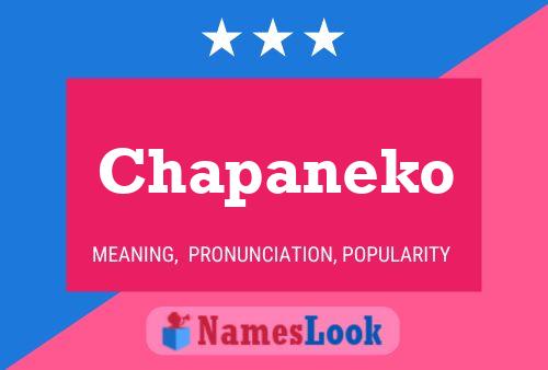 Chapaneko Name Poster