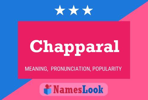 Chapparal Name Poster