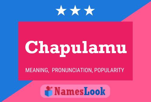 Chapulamu Name Poster