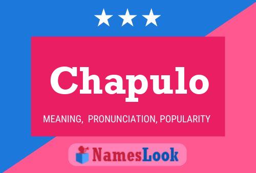 Chapulo Name Poster