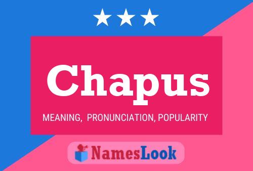 Chapus Name Poster