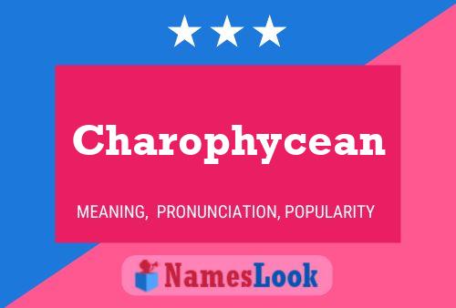 Charophycean Name Poster