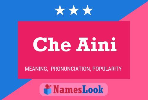 Che Aini Name Poster