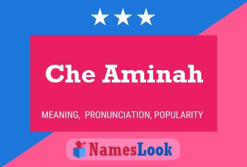 Che Aminah Name Poster