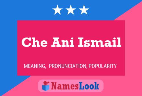 Che Ani Ismail Name Poster