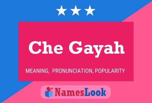 Che Gayah Name Poster