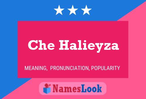 Che Halieyza Name Poster