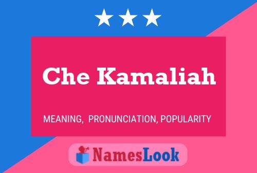 Che Kamaliah Name Poster