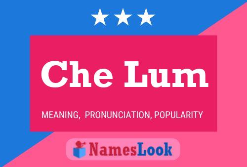 Che Lum Name Poster