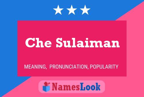 Che Sulaiman Name Poster