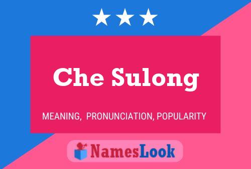 Che Sulong Name Poster