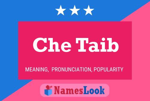 Che Taib Name Poster