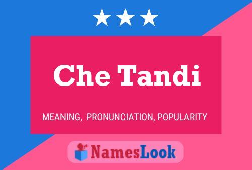 Che Tandi Name Poster