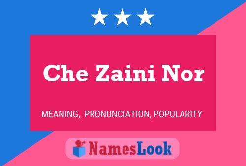 Che Zaini Nor Name Poster