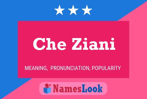 Che Ziani Name Poster