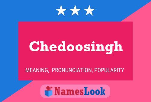 Chedoosingh Name Poster