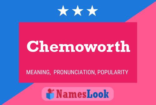 Chemoworth Name Poster