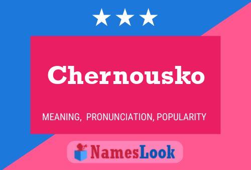 Chernousko Name Poster