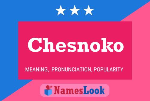 Chesnoko Name Poster