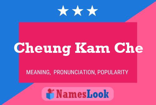 Cheung Kam Che Name Poster